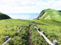 滿山花香 走一趟「花之浮島」