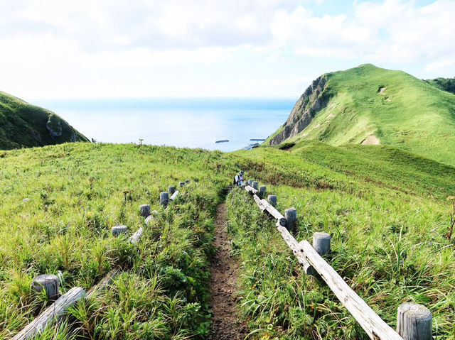 滿山花香 走一趟「花之浮島」
