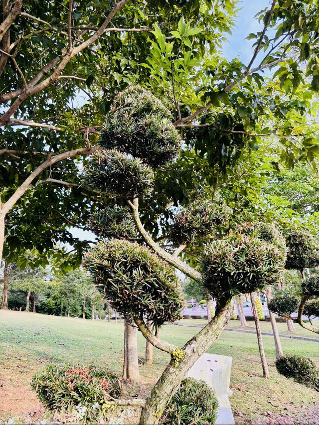 Climb with a View โ Welcome to Tangga Putrajaya! Climb with a View โ Welcome to Tangga Putrajaya!