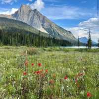 Yoho National Park 🏞️💎