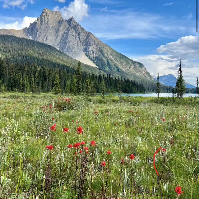 Yoho National Park 🏞️💎