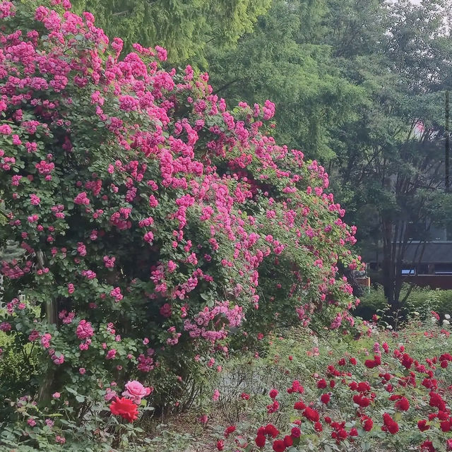 Seokchon Lake Park