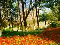 Xiuhu Park: The Heart of Yiwu’s City Life