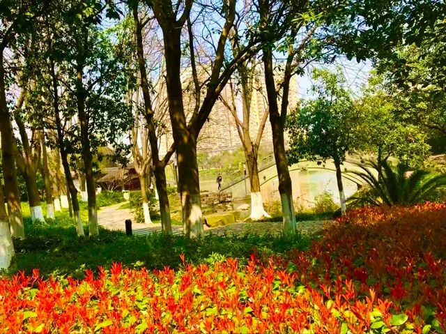 Xiuhu Park: The Heart of Yiwu’s City Life
