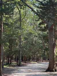 Cattus Island County Park – New Jersey
