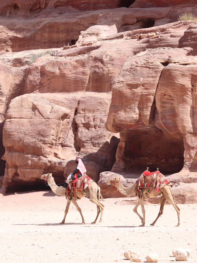 Petra and Wadi Rum Moments 