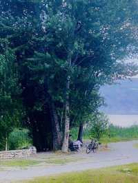 Dali's Magic: From Illuminated Nights to Tranquil Mornings at Erhai Lake( Spring Edition)