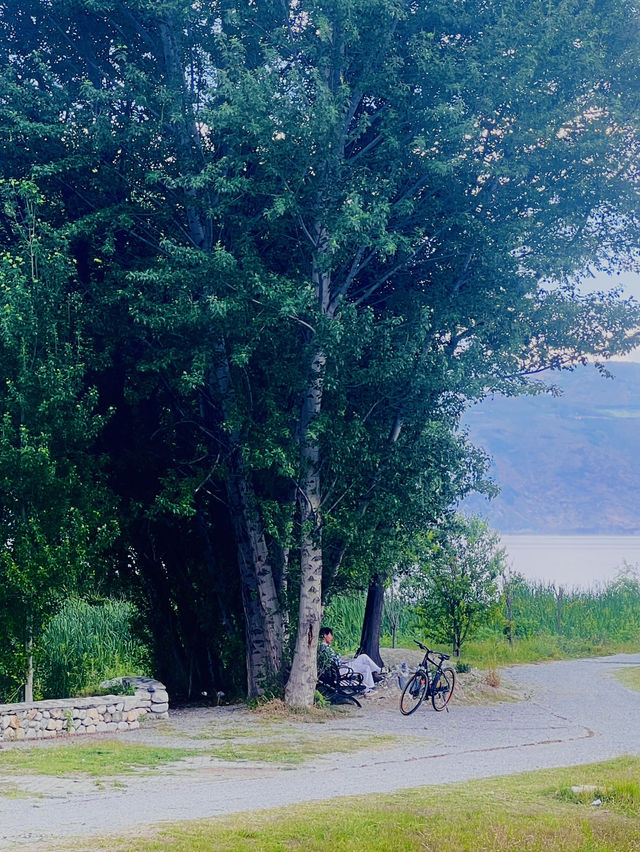 Dali's Magic: From Illuminated Nights to Tranquil Mornings at Erhai Lake( Spring Edition)