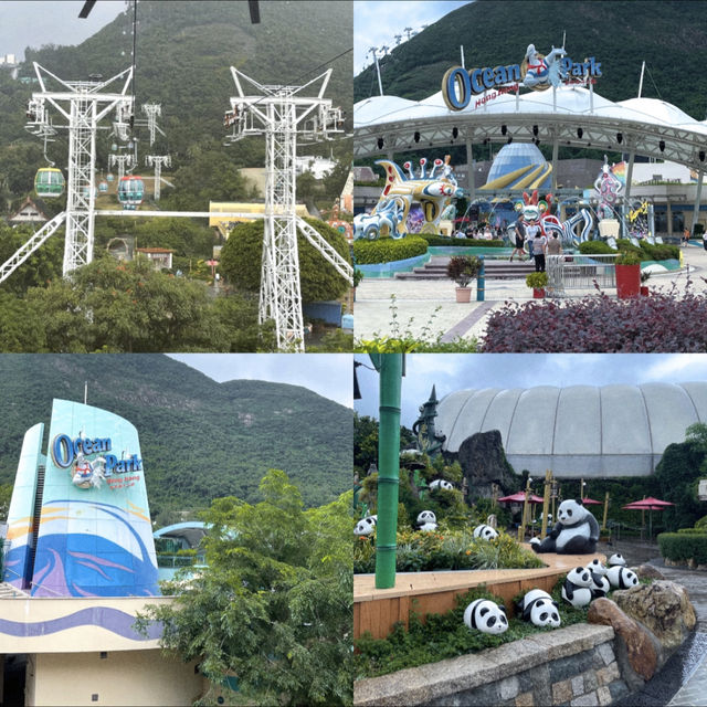 รีวิวสวนสนุก Ocean Park Hong Kong 🎡