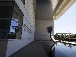 Palm Beach, Florida: A Travel Guide to the Norton Museum of Art 🎨