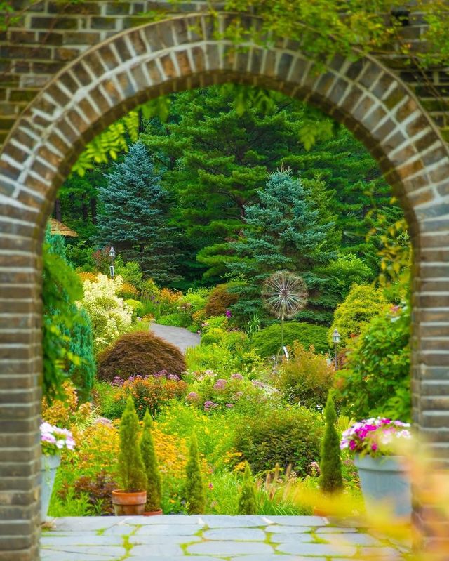 SUMMER MINI TOUR – Nami Island + Garden of Morning Calm (Day Trip from Seoul) SUMMER MINI TOUR – Nami Island + Garden of Morning Calm (Day Trip from Seoul)