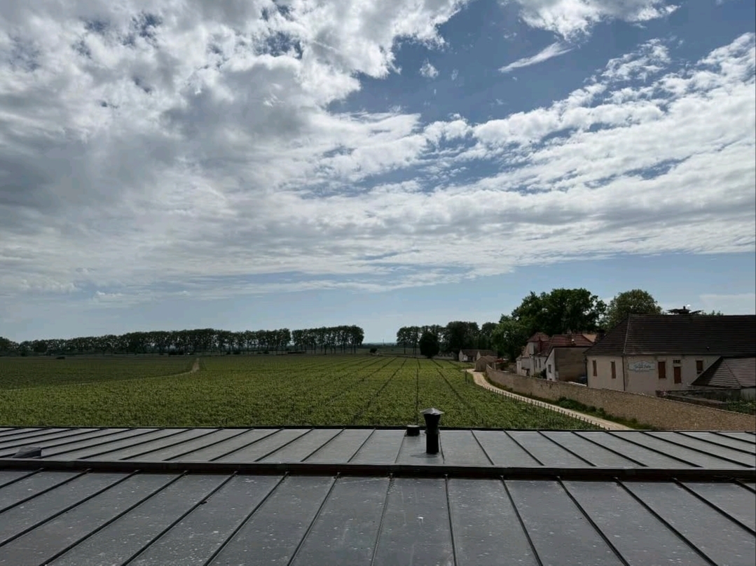 Sip and Savor History at Château de Pommard