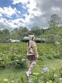 22 AQUARIUS Glamping Cafe
