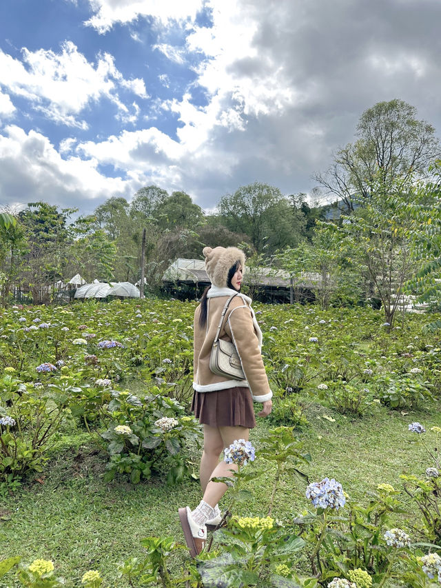 22 AQUARIUS Glamping Cafe