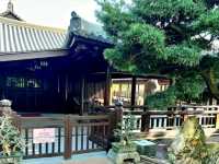 A Slice of Tranquility: Nan Lian Garden in Hong Kong