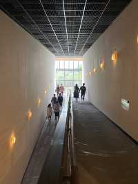 Taiwan's Artistic Essence: Works at the National Taiwan Museum of Fine Arts