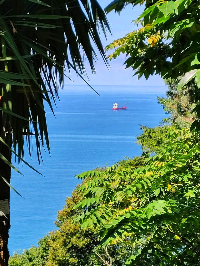 🌿 Batumi Botanical Garden – A Green Paradise by the Black Sea