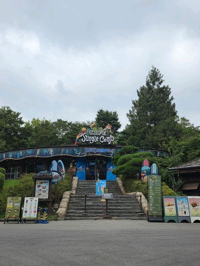 즐거움 가득한 에버랜드 동물원 나들이