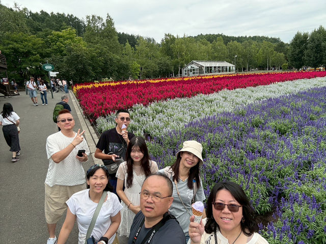 北海道富田農場遊記｜浪漫花海與薰衣草的天堂