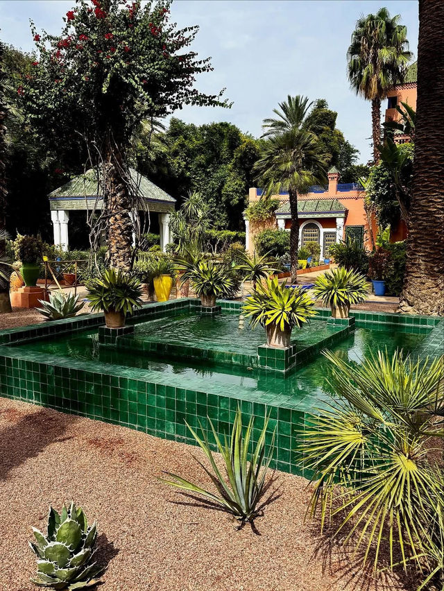 A Colorful Oasis at Le Jardin Majorelle in Marrakesh, Marrakesh-Safi A Colorful Oasis at Le Jardin Majorelle in Marrakesh, Marrakesh-Safi