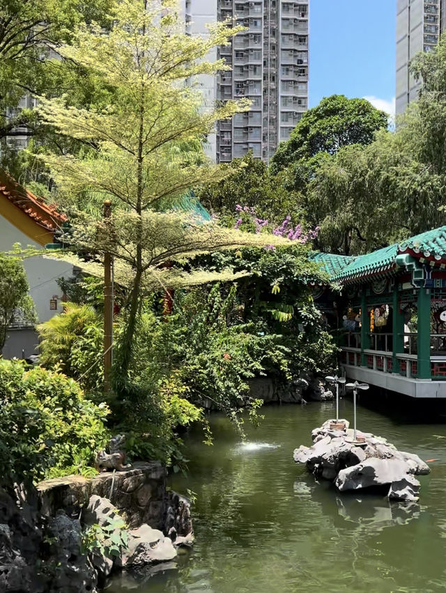 香港｜黃大仙祠——在高樓與綠瓦之間，聽見香火與水聲交織的城市靜心所 ⛩️🌿