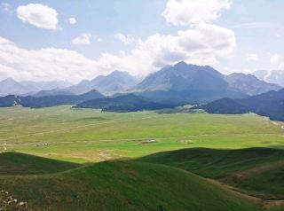 鹿角灣草原湖景打卡勝地🌄