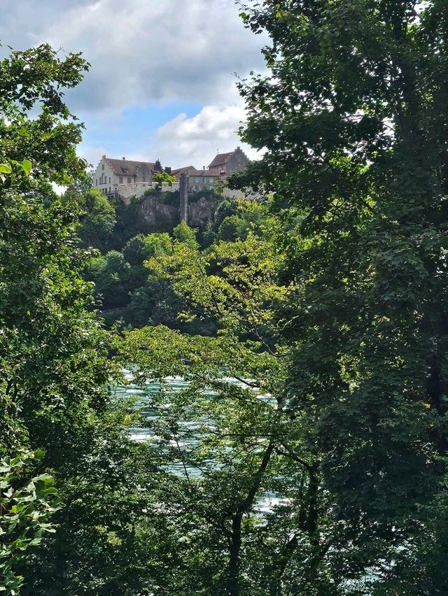 Epic Falls Cruise at Rhine Falls