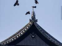 Inuyama Castle