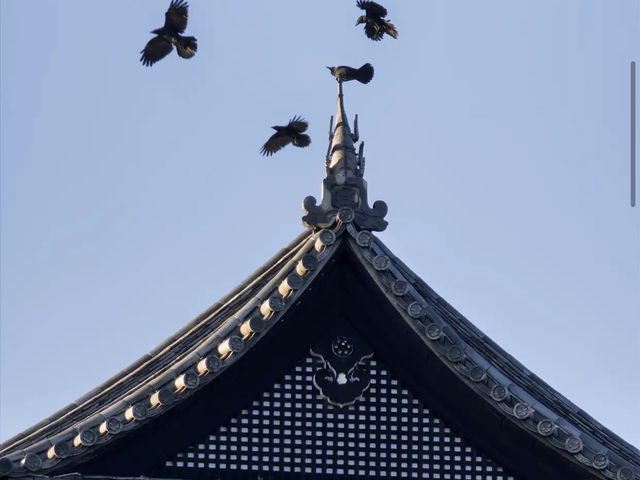 Inuyama Castle