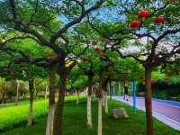 🏯Handan – A Cradle of Chinese Civilization