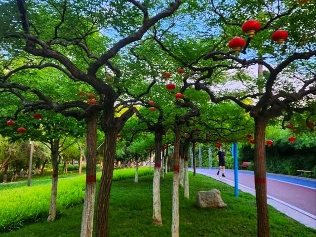 🏯Handan – A Cradle of Chinese Civilization