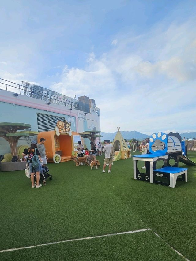 晒太陽歎景！GO PARK必去推介