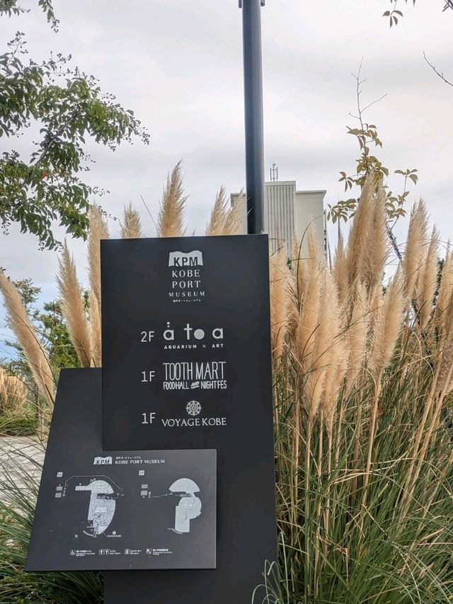 【神戸の水族館】水族館の年パス買うならココでしょ！