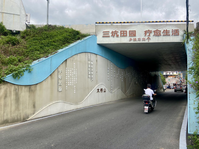 陰晴樹影下的野外漫步體驗🌴三坑鎮的水鄉風情和傳統墟市🌟 陰晴樹影下的野外漫步體驗🌴三坑鎮的水鄉風情和傳統墟市🌟