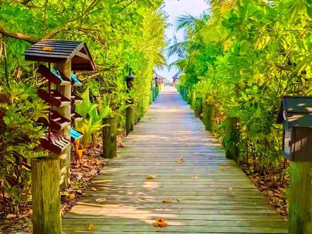 Kuredu Island Resort & Spa – Fun and Relaxation for Everyone Kuredu Island Resort & Spa – Fun and Relaxation for Everyone