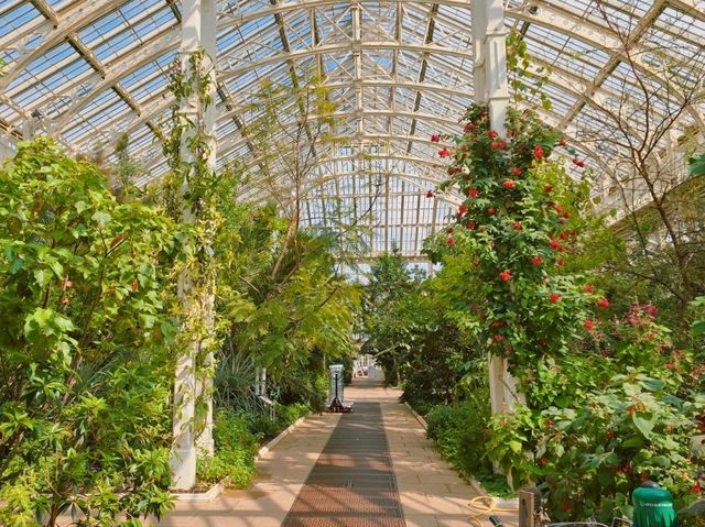 어여쁜 수련이 가득한🌺 영국 큐가든 워터릴리 하우스