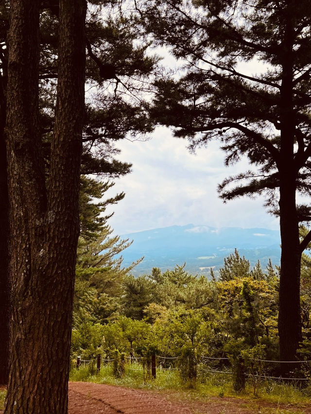 The Tranquil Walk to the Peak