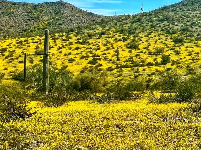 🏜️ Estrella Mountain Regional Park – Arizona’s Desert Escape