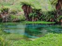 Pure Blue: New Zealand's Blue Spring