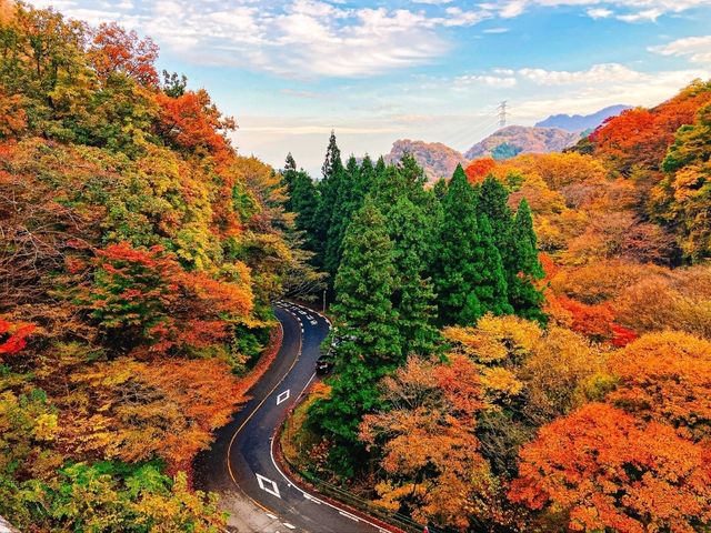 紅葉穴場スポット😶‍🌫️群馬のめがね橋🍁