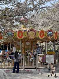 สวนพฤกษศาสตร์ที่สดชื่นที่สุดในหนิงโป 🌳🌸 