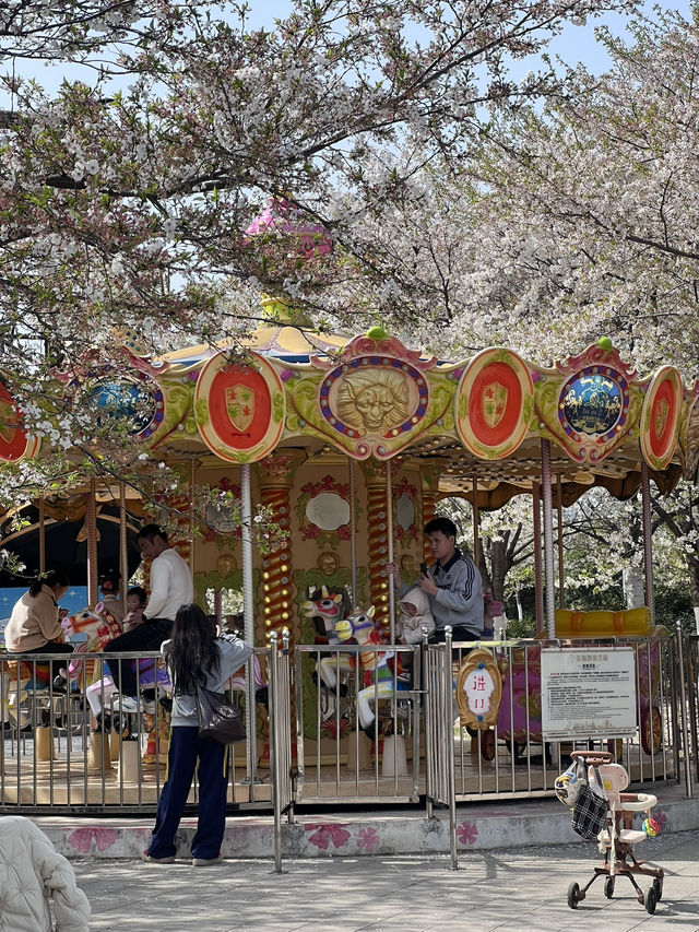 สวนพฤกษศาสตร์ที่สดชื่นที่สุดในหนิงโป 🌳🌸 