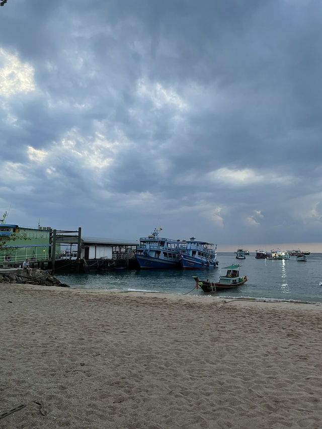 ดำน้ำเกาะเต่า ใต้ทะเลที่ปะการังสวยที่สุด ⚓️🛟