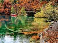 tranquil atmosphere