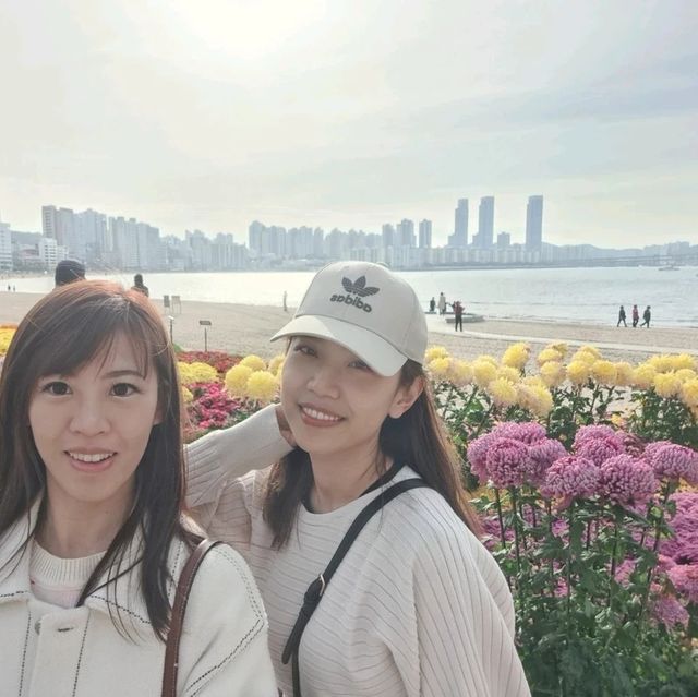 釜山🇰🇷廣安大橋🌁海濱咖啡街～花海片片