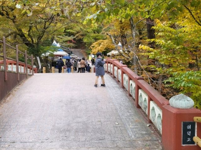 고즈넉한 사찰에서 단풍도 보고 국보도 보는 가을 여행 🧡
