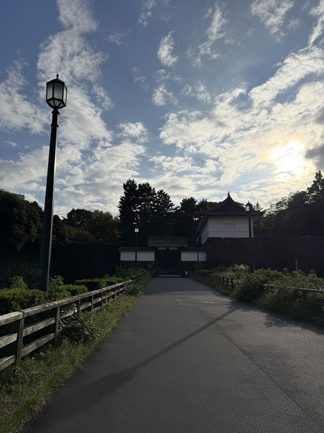 🍁 Autumn Stroll Around Nippon Budokan & Kitanomaru Park