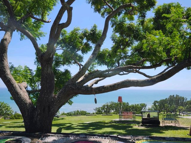 🌾 2025漫遊縱谷 愛在花東・台東篇 🌾