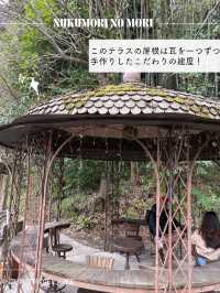 【静岡】ぬくもりの森へ行ってみた🌳