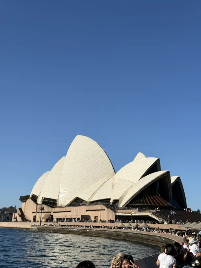 Sails, Skylines & Sunshine — Sydney Opera House 🎭🌉
